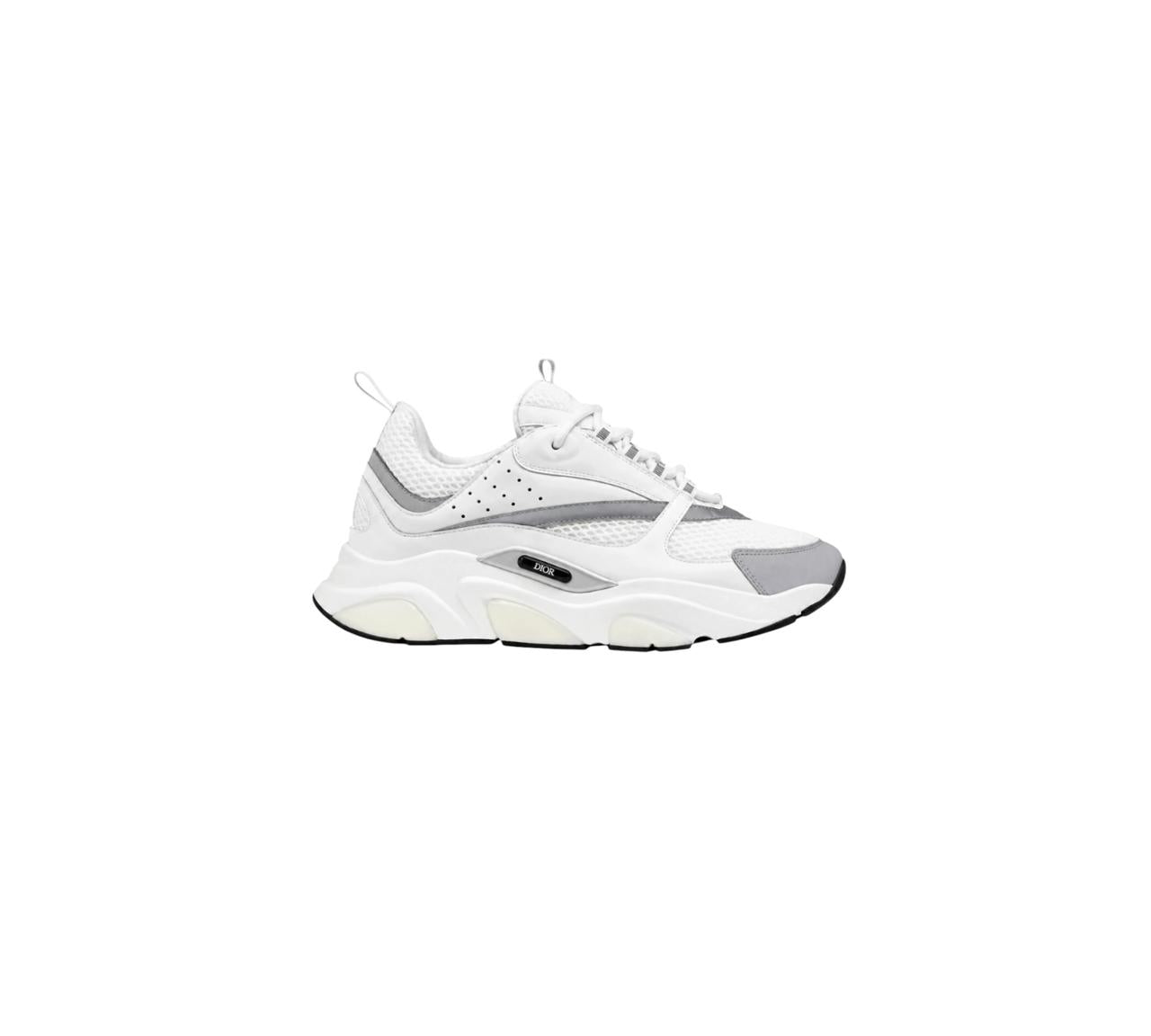 DIOR B22