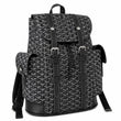 Goyard PackBack