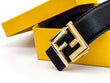 LV Belt